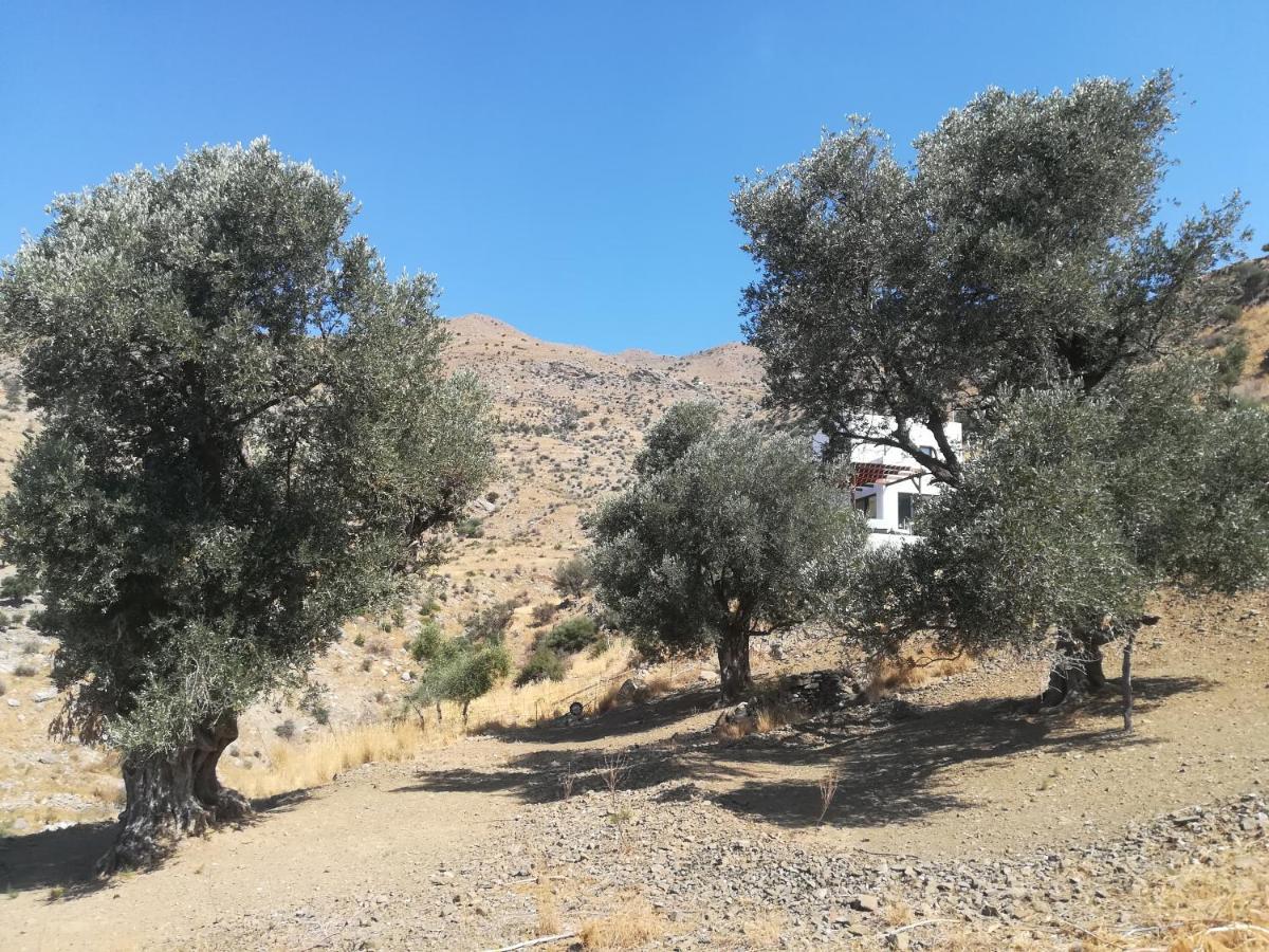 Sea Breeze Ecological Villa Agia Galini Esterno foto