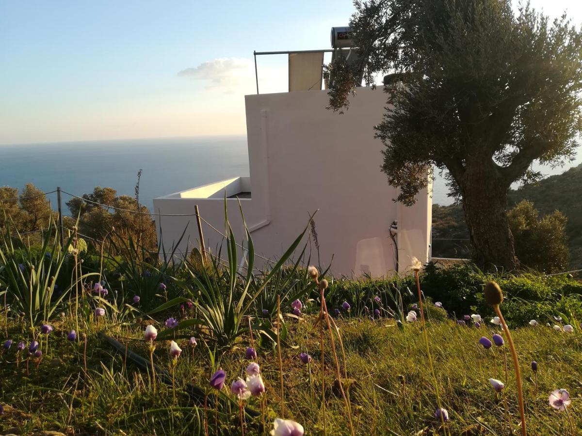Sea Breeze Ecological Villa Agia Galini Esterno foto